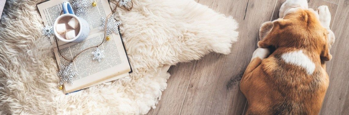 leadchangegroup's tweet image. "He is a constant reminder of the need for connection, authenticity, and truth." - @danised is back to share some important life lessons with the help of her dog, Louie ----&amp;gt; buff.ly/2Z1V1F3 #leadchange #leadershipdevelopment