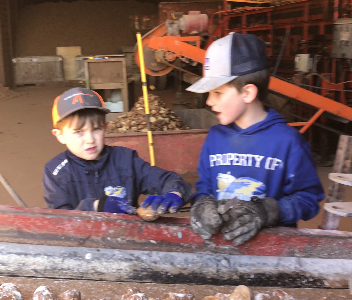 #plant20 begins with the kids roadside sale spuds. Thanks to covid19 I’ve been spending a lot more quality time with these guys on the farm.