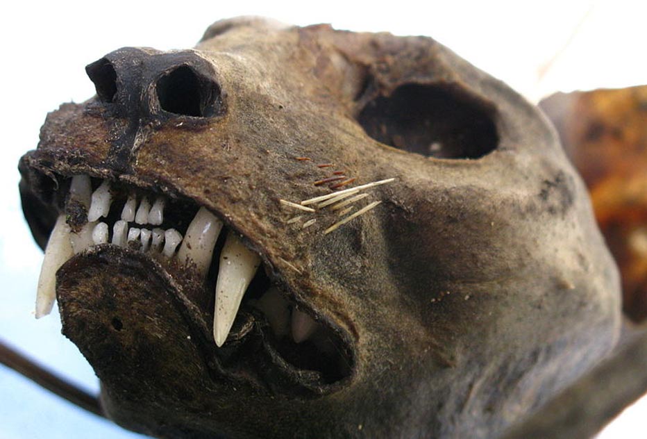 PrinceAtom_IX's tweet image. Where else would I go? They kicked me out of hell.