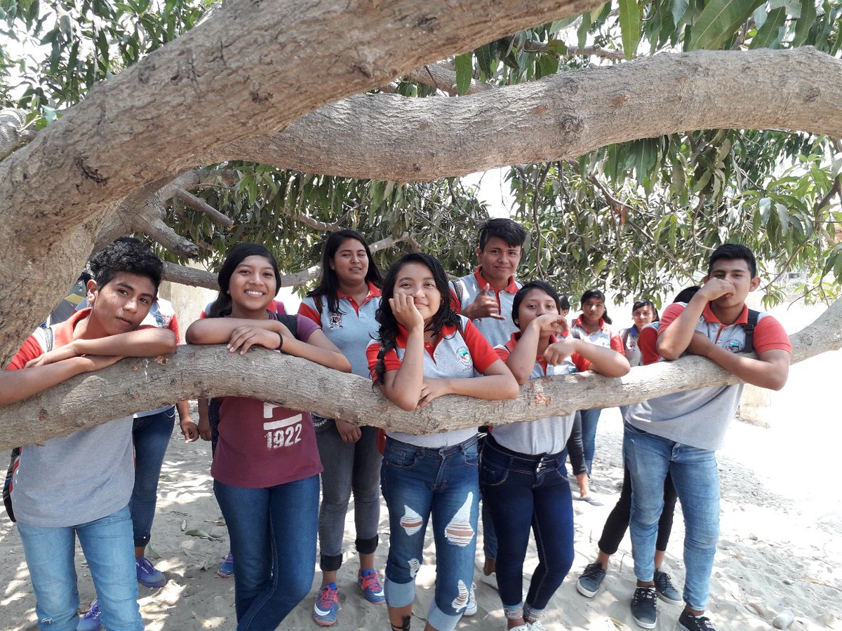 View image on Twitter