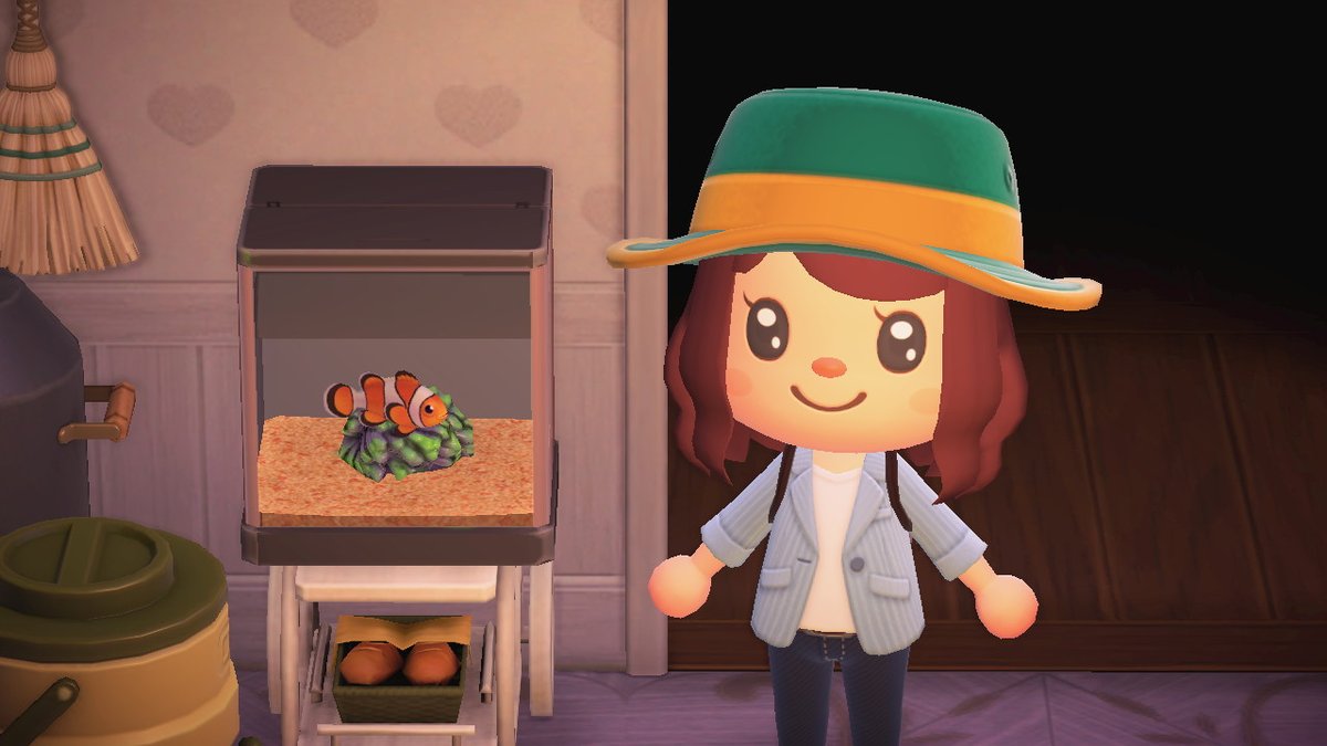 jovankaave's tweet photo. #AnimalCrossing #ACNH #NintendoSwitch https://t.co/PQQgT6I4Ta