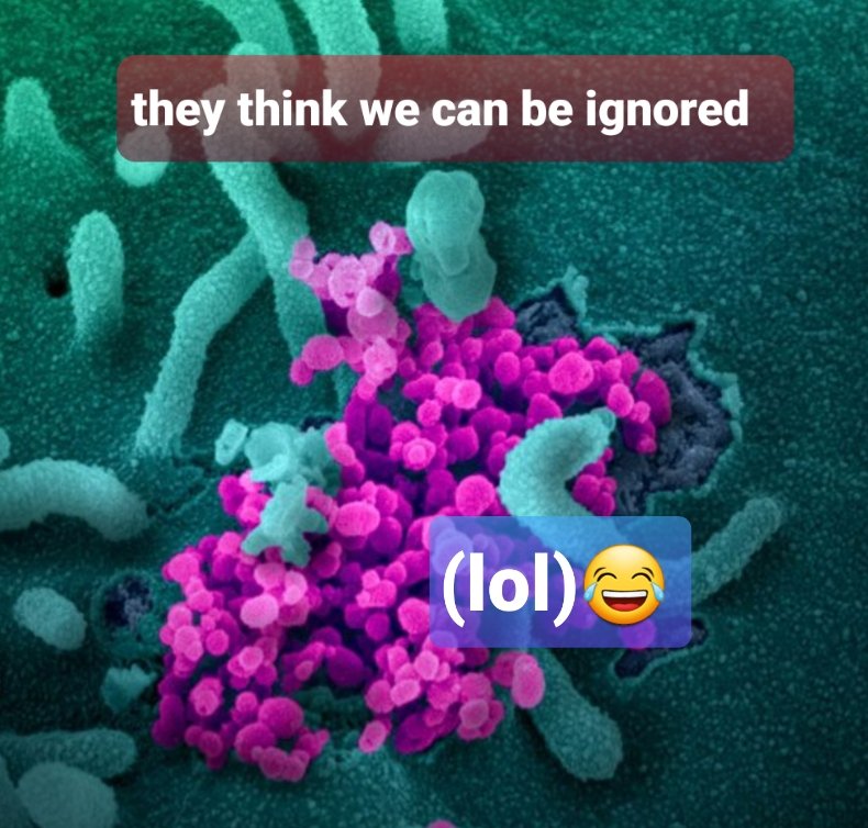hjellebrian1's tweet photo. I don't think the #trumparty has learned for ONE moment that denying people tests does nothing to check a pandemic.
To make it "not happen". https://t.co/p4dHmwbiS9