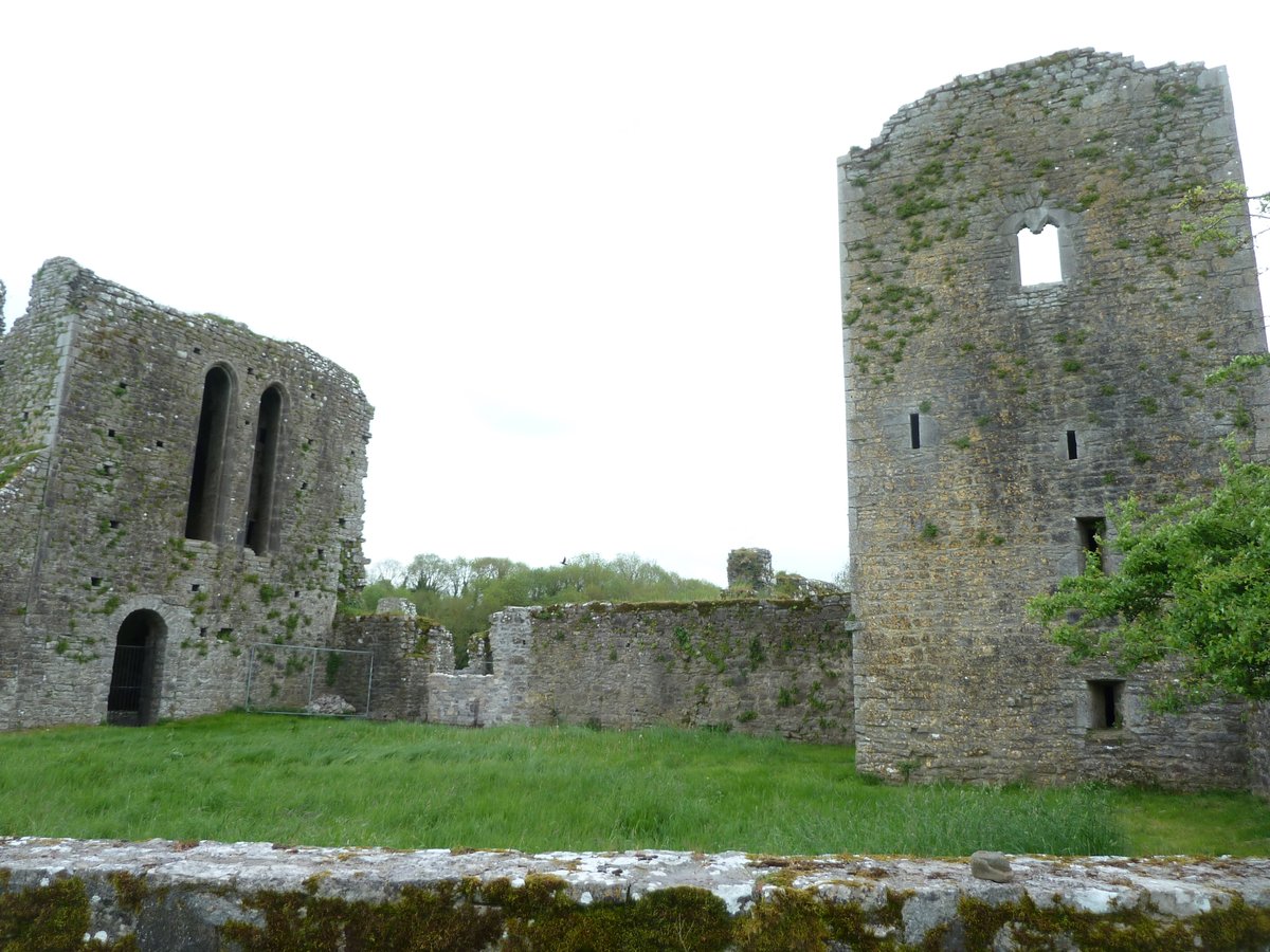 Medieval Buttevant tweet media