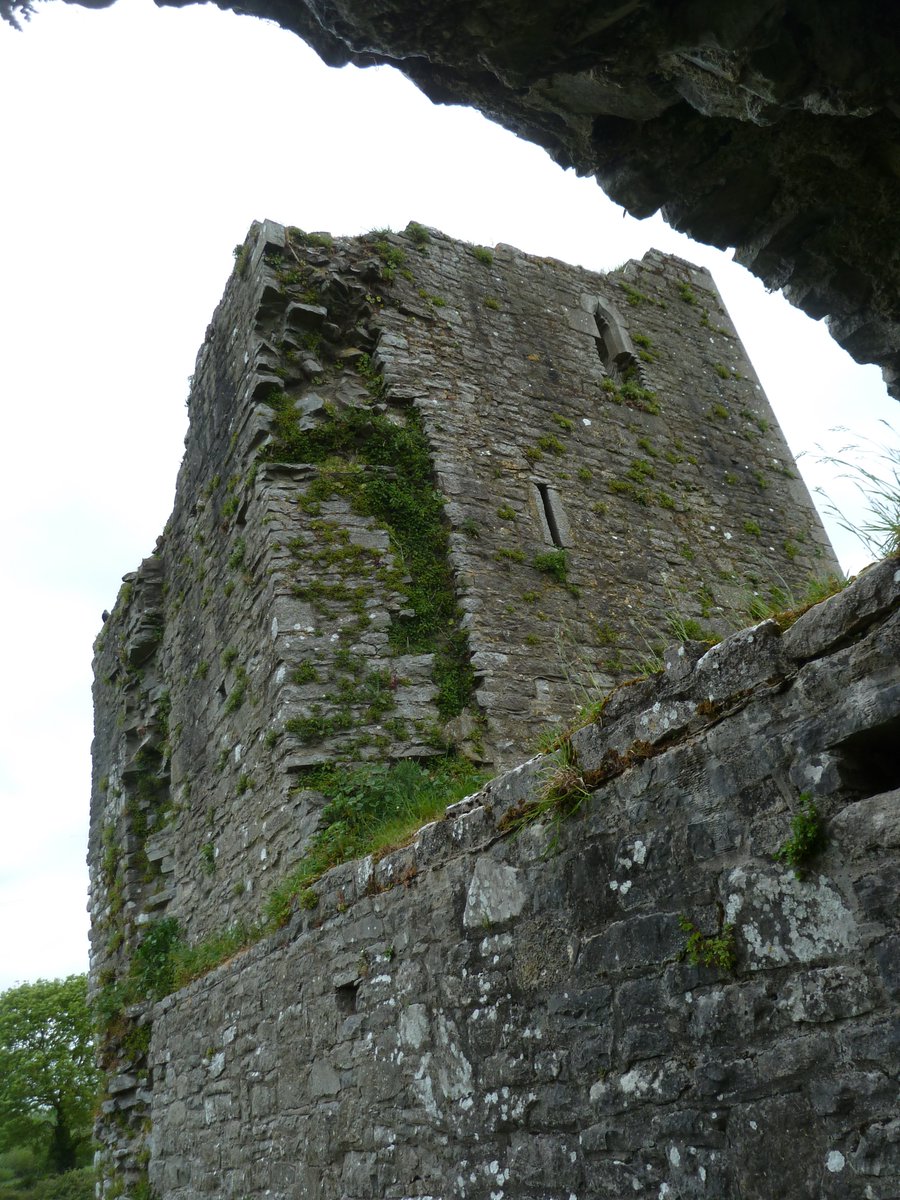 Medieval Buttevant tweet media