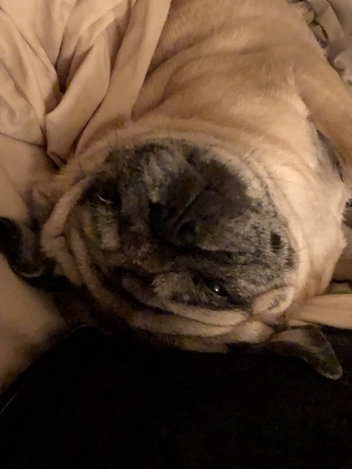 Maude https://t.co/s7ldMj5JnC<a href="/tag/art"class="tags"><span>#art</span></a><a href="/tag/portraiture"class="tags"><span>#portraiture</span></a><a href="/tag/yourewelcome"class="tags"><span>#yourewelcome</span></a><a href="/tag/kinkdotcom"class="tags"><span>#kinkdotcom</span></a><a href="/tag/anafoxxx"class="tags"><span>#anafoxxx</span></a>