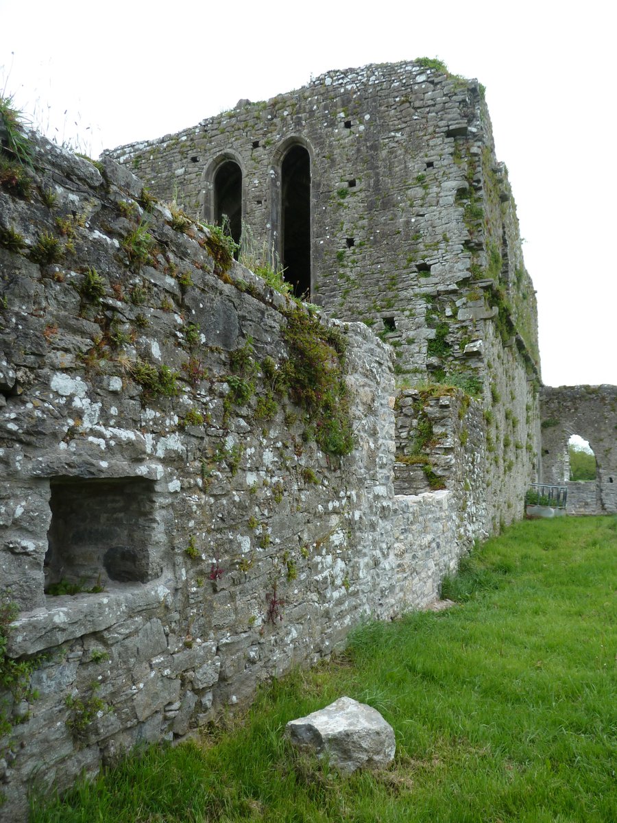Medieval Buttevant tweet media