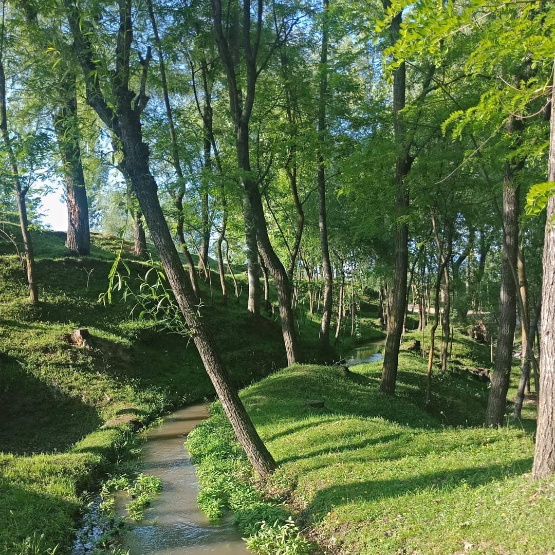 Sometimes cross the meadows and streams and listen to the serene silence of nature. It brings peace to your soul.
#Quarantinelife
#Villagelife