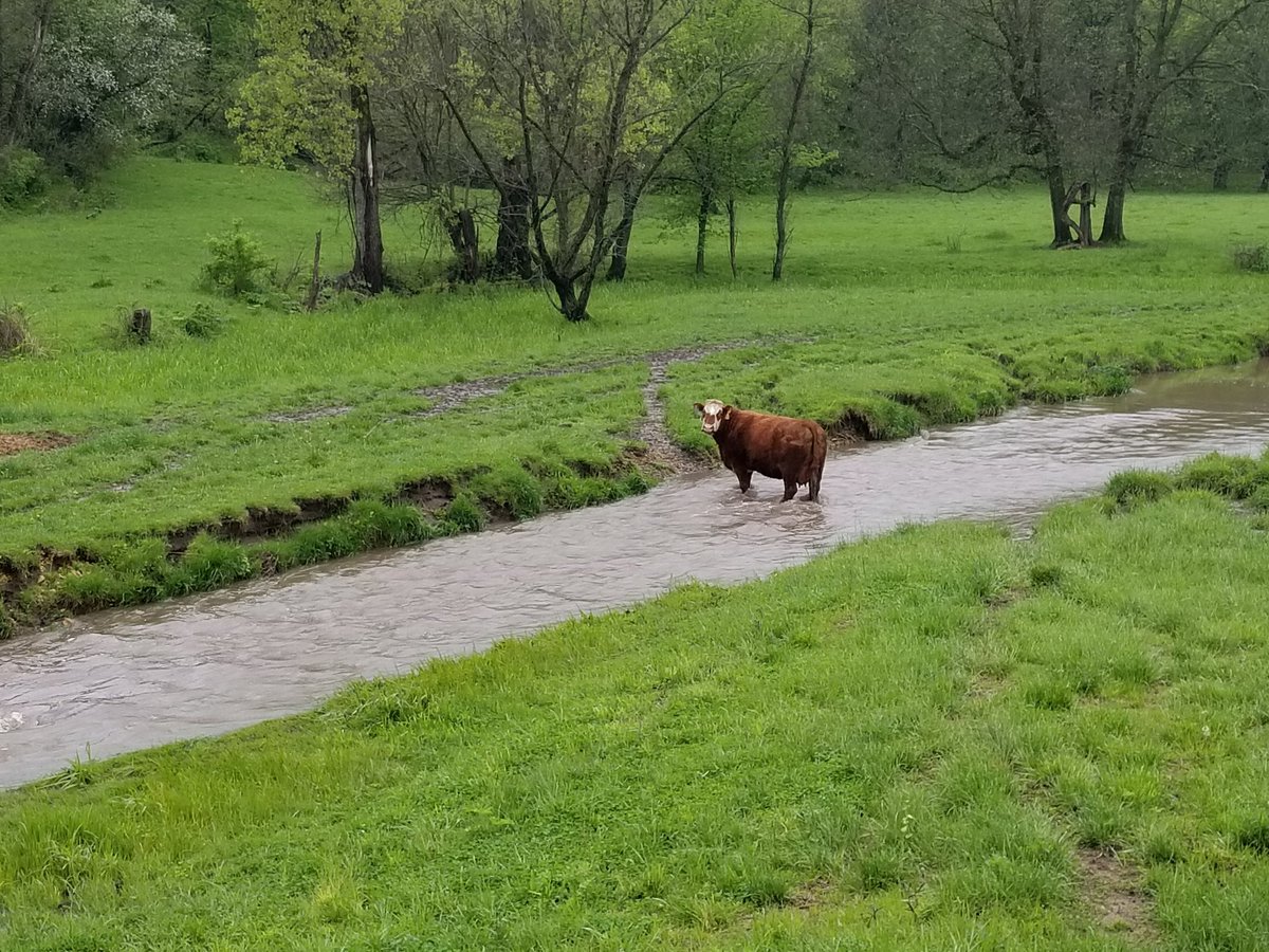 chrisremhof's tweet photo. Long run. Hit the road since we've had a lot of rain. 1,200 feet of gain on 17.3 miles. Great start to a 3 day weekend.
#UltraRunningTeam #trailrunning #running #trailviews #ultrarunning #ultramarathontraining #RunYourWorld #TrailAndUltra #Run #bfpdoutside #OCRunningCrew #run https://t.co/WVKJ4B9fE5