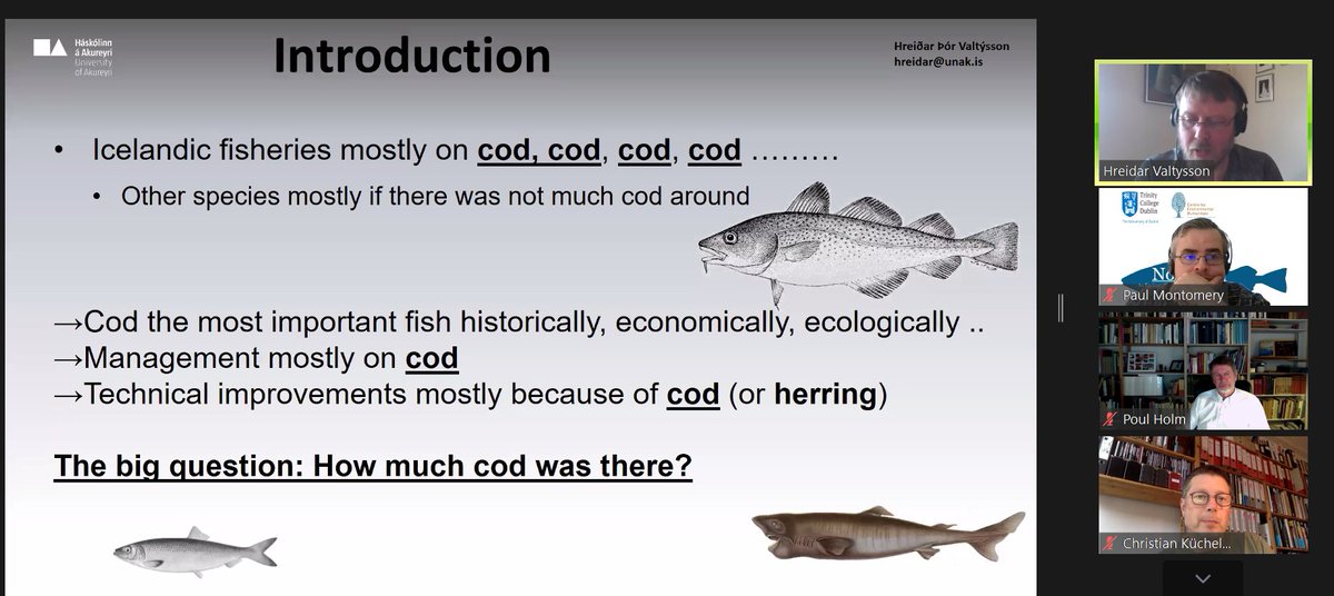TCEHTCD's tweet photo. In Iceland Cod is God!! Great talk tonight #OceansPast2020 by Hreiðar Þór Valtýsson about the historical cod population around Iceland via the technological, methods used by Iceland fisher folk #marine #fisheries #oceans @oceans_past Enjoyed greatly by @TCEHTCD and #NORFISH team https://t.co/WmgBEw0LB1
