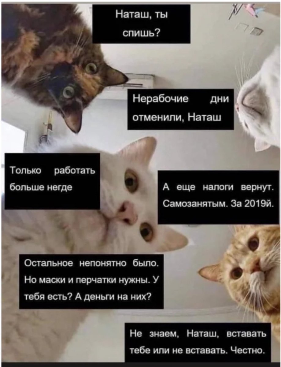 Пепейон4ик tweet media