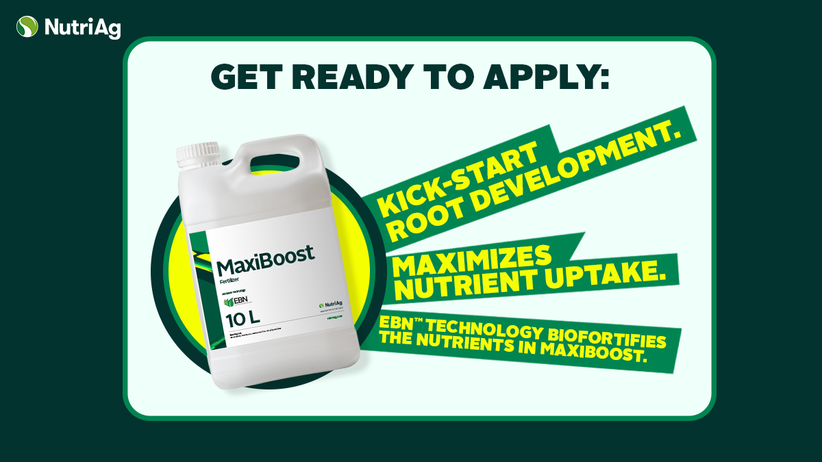 NutriAg's tweet photo. Access to early-season nutrition can be the difference between a mediocre start and an exceptional start. Adding #MaxiBoost to the transplant water provides crops with a boost right when they need it most. #Plant2020 https://t.co/qLlIzFvks3
