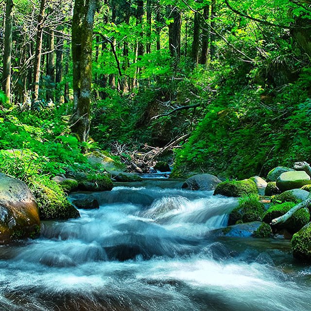 hiro_tp_flg_roy's tweet image. ＃RHfactor の＃Liquidstreets を演奏しました。
チャンネル登録お願いします！
#royhargrove 大好きです！！

Liquid streets youtu.be/gSvRlK4_yFs