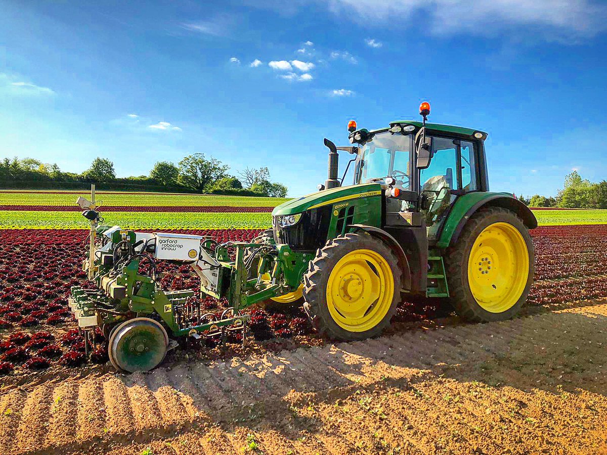 garfordrobocrop's tweet image. Sun is out and the Garford Robocrop InRow Weeder doing it&apos;s thing @DandJHayward #lettuce #robocrop #farming #accuracy