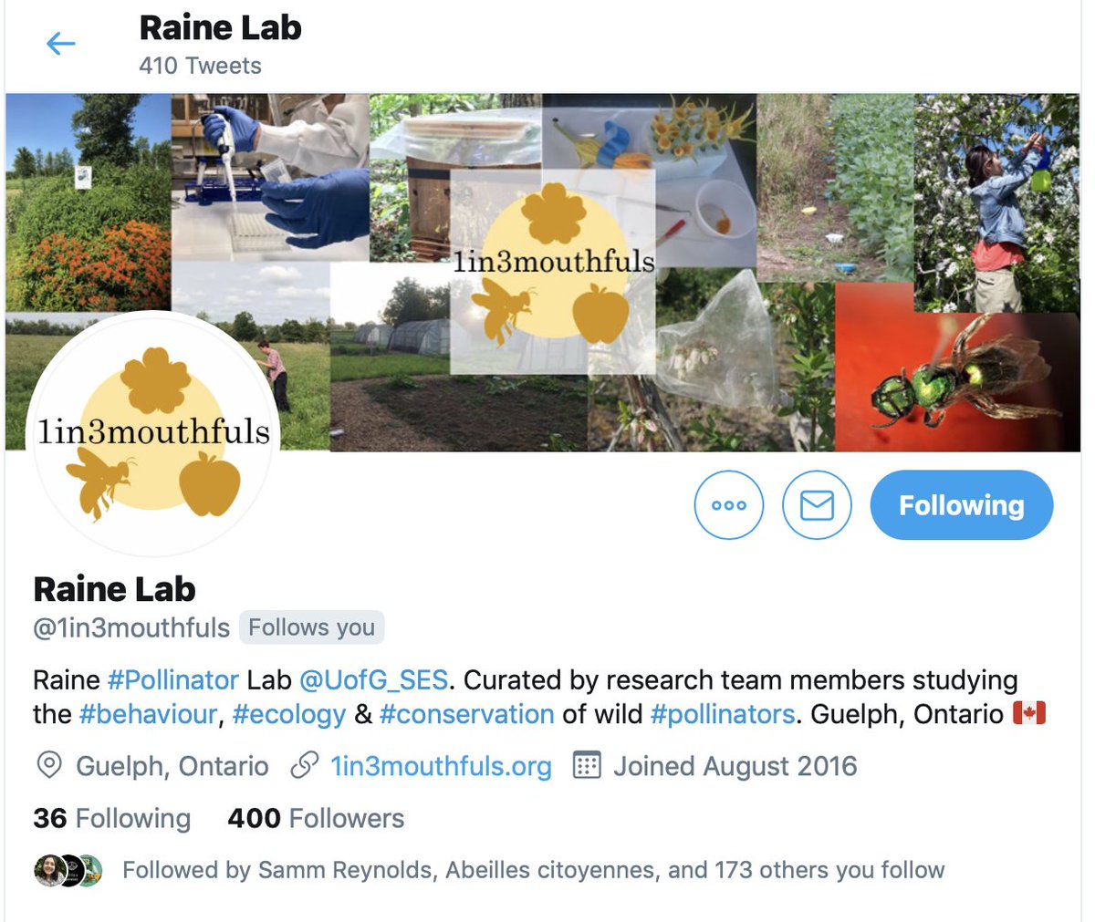 NigelERaine's tweet photo. Thanks to the great collective efforts from all the @1in3mouthfuls team we've reached the 400 follower milestone. Interested to find out more about the behaviour, ecology &amp; conservation of #pollinators, then give them a follow: https://t.co/QLlsih9YbJ #FollowFriday #Bees #SciComm https://t.co/WR8Q4vRPtN