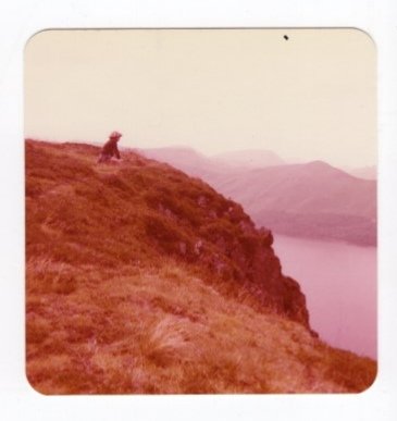 VarylT's tweet photo. Growing up in the rural wilds of Northumberland (and urban wilds of Newcastle). And my first foray west to the Lake District (I was accompanied). This led to solastalgia, and working in Patagonia!
#whenIwaswild https://t.co/CiwY9zuBy9