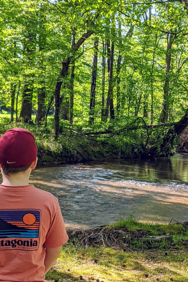 The Natchez Trace extends about 440 miles from Nashville to Natchez, Miss. Did you know 33 miles of the historic forest trail runs through Northwest Alabama? Jennifer, our Florence operations manager, explains why it's her family’s go-to getaway spot: ow.ly/krwU50zHA3v