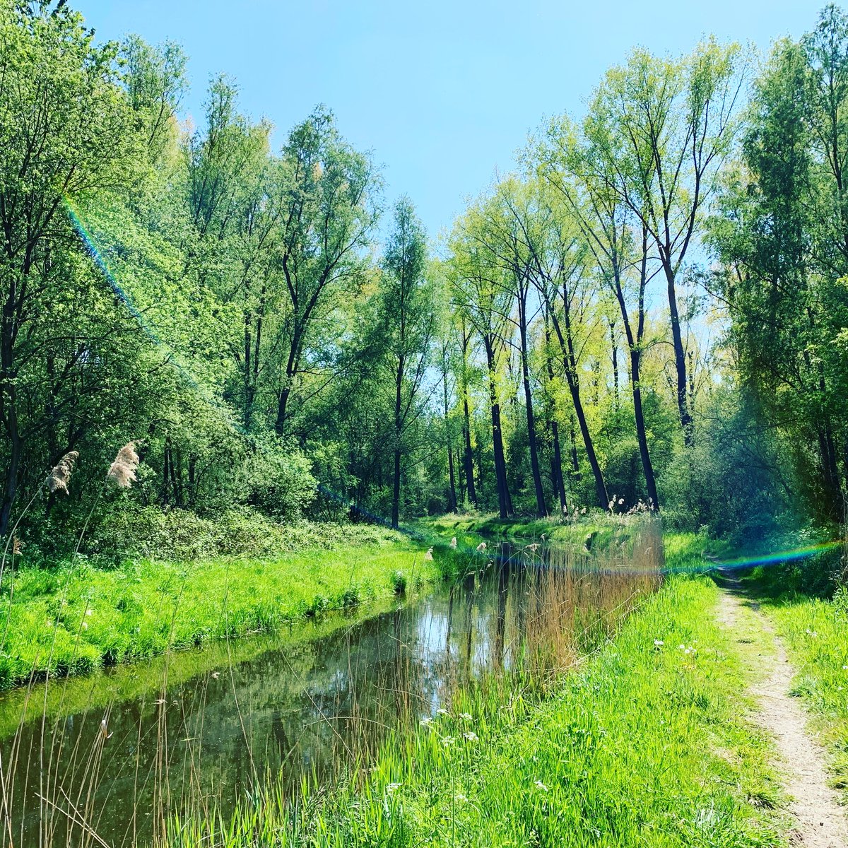 huurtent's tweet photo. Fietsen of #wandelen door #Brabant daar hoort #appeltaart bij😎 https://t.co/7Kqf18RtN1