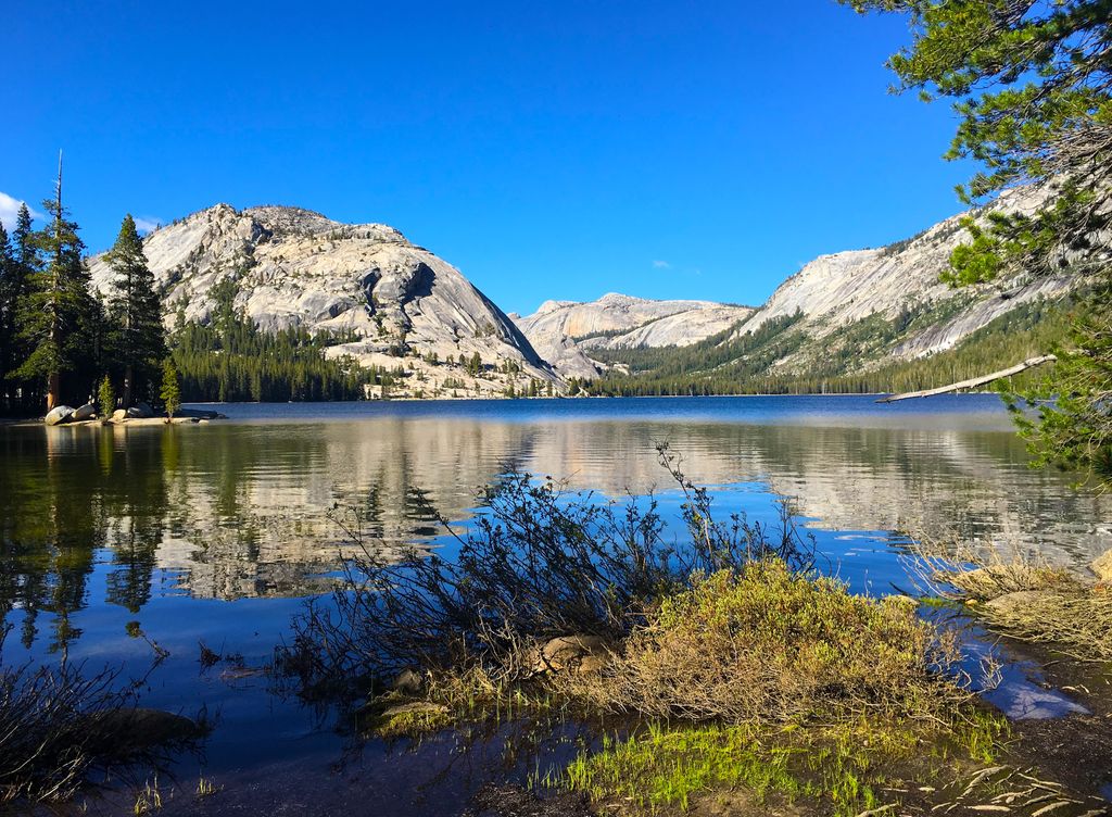 Yosemite Adventure on Twitter "Tenaya Lake is one of the easiest to