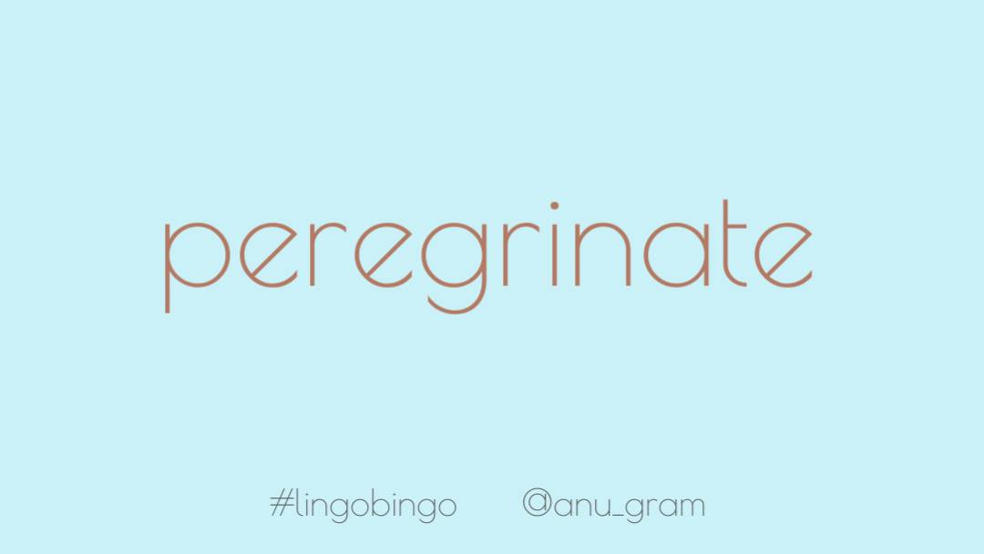 You know all that walking you've been doing? It sounds so much more purposeful and glamorous when you refer to it as "I'm off to peregrinate"It means to journey or travel, but particularly by foot #lingobingo