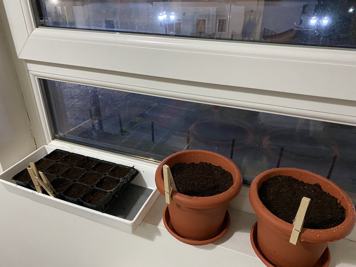 PhotoPJHarrison's tweet photo. My #balconygarden and seed trays. Proving once again that to #garden is the way forward in coping with #coronavirus #Isolation - excited about the rosemary I repotted https://t.co/0LaQOFTALv