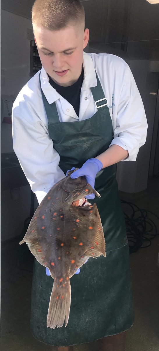 jsfreshfish's tweet photo. Fabulous Plaice just landed for our counter tomorrow. Open 9am until 4pm at Shamrock Quay #supportlocal #fishmonger https://t.co/31dbTCDnBv