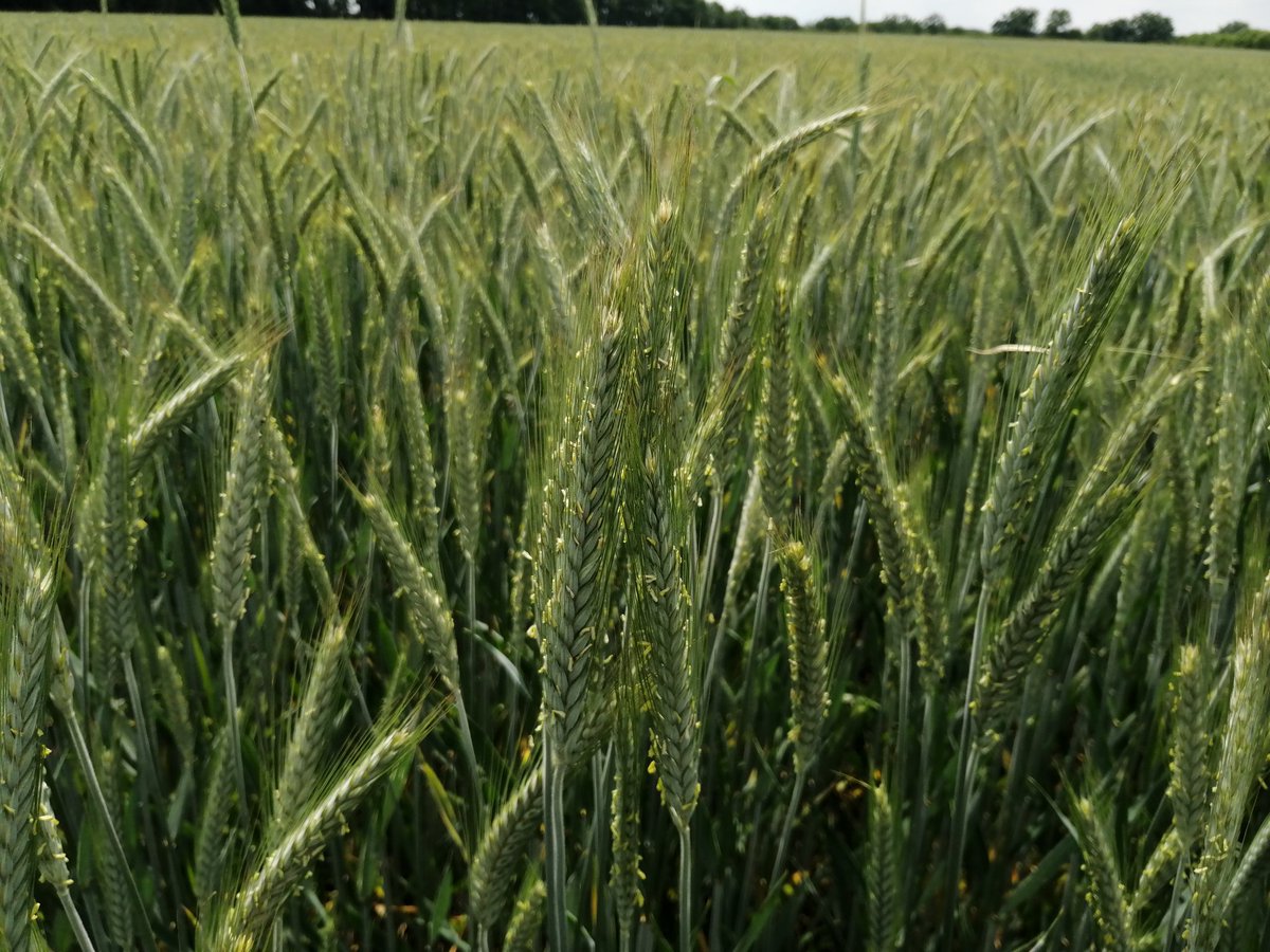 Exploitation Lycée Neuvy tweet media