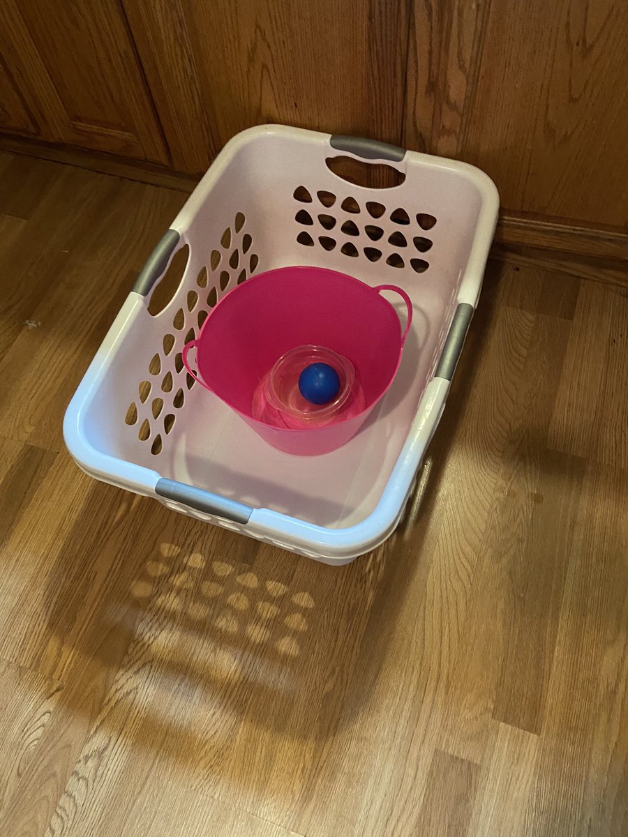 Getting ready for <a href="/MentorVirtualFD/">Mentor Virtual Field Day</a>  #bellflowerway