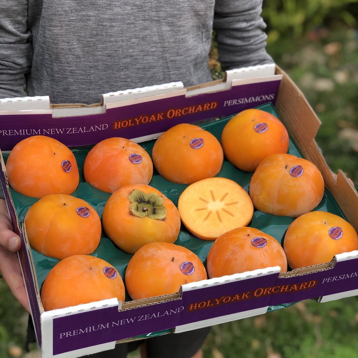 unitedfreshnz's tweet photo. Giveaway! Head over to Facebook @5adaynz to win these beautiful #NZpersimmons. Thanks to #HolyoakeOrchard & #CapeProduce #5adaynz https://t.co/4dDe0qn3gA