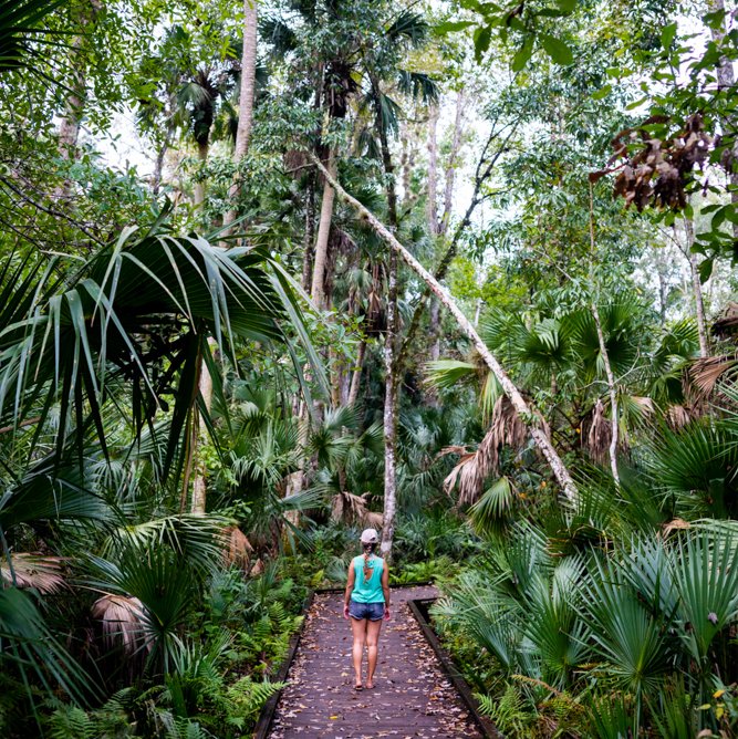 Besides the beautiful clear water springs, Wekiwa Springs State Park also offers a variety of trails from leisure walks, hiking, bicycling to horse trails. Some of there trails winded through beautiful palm groves and tropical plants. For more info 👉:  soo.nr/e1VG
⁠