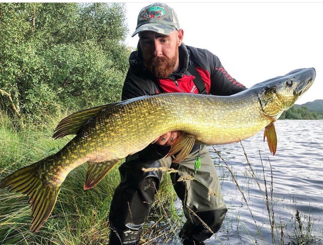 ScotlandAngling's tweet image. This bad boy is almost anaconda like!!!  Wow! 🐍🐊
​
​📸@team_fishx
​
​​Join the #anglingscotlandclan right across social media. Link in our bio @anglingscotland
​
​#pikeonfly #pikeflyfishing #esox