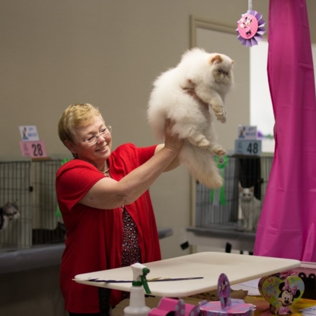 A great shot from #Petcon a year ago! We loved having all the cats and dogs over here at the #businessexpocenter. We were feline pretty great! #meow