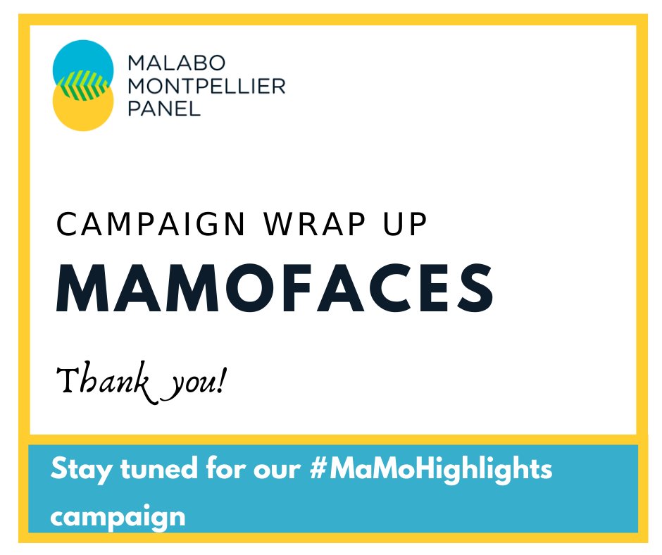 MaMoPanel's tweet photo. #MaMoFaces| Campaign wrap up
After a 23-week-long #MaMoFaces campaign during which you've been introduced to the @MamoPanel members & staff, let's wrap with these 3 takeaways 👇 https://t.co/3IBcCLMiQK