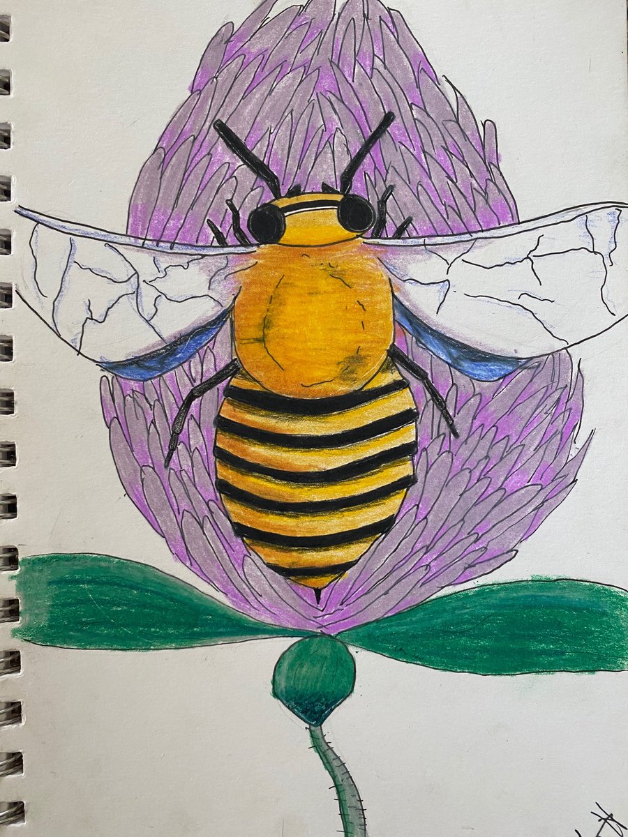 gove_rebecca's tweet image. Amazing drawings #hcslearns #cvsdvt #CVSDStrong #artathome