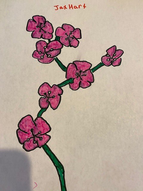 gove_rebecca's tweet image. Amazing drawings #hcslearns #cvsdvt #CVSDStrong #artathome