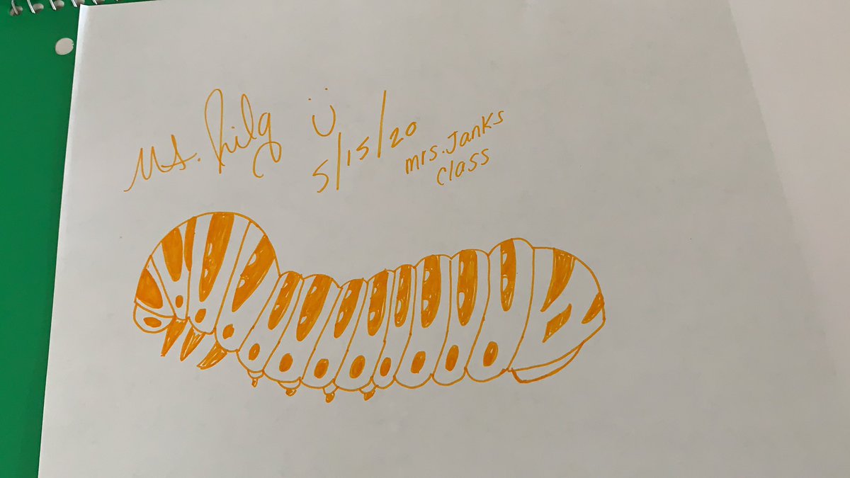MsJilgArt's tweet photo. Thank you @mrsjanks for letting me join your class today! Loved reading to them The Very Hungry Caterpillar and participating in the step by step drawing of our own caterpillars 🐛 @SLCSBrummer https://t.co/UUDCtId070