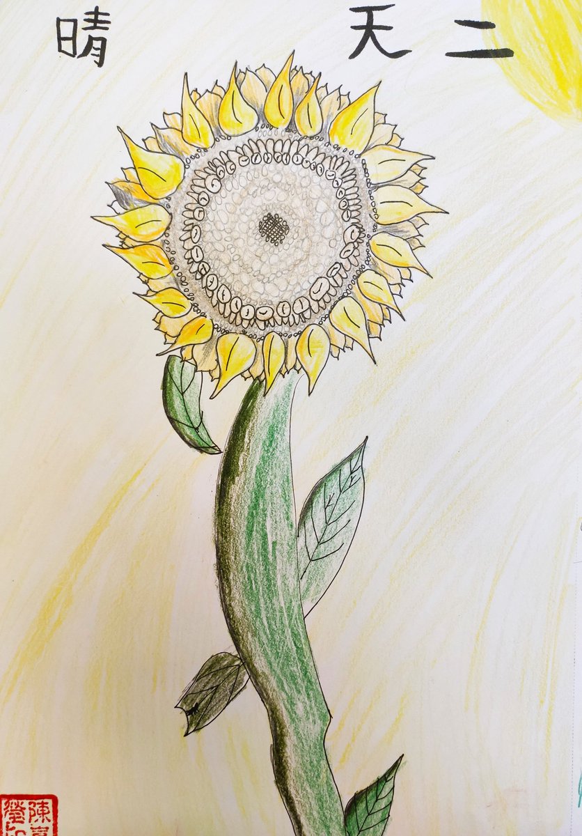 Today both girls enjoyed drawing sunflowers from  <a href="/MissSLDunford/">MrsSLWood</a>