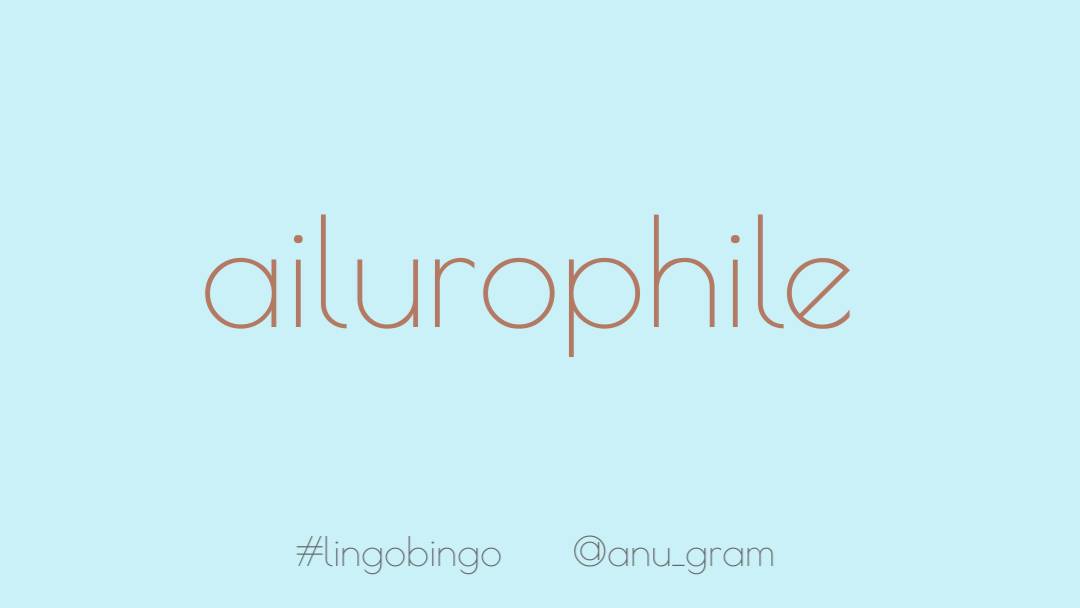 I don't know why i have only just discovered this word but it's made my life a little bit more complete'Ailurophile', cat lover #lingobingo