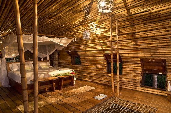 _SpectrumParty's tweet photo. Cada habitación tiene una cama matrimonial para cada uno, con mucho espacio, ¡Espero que se adapten bien! https://t.co/1tHe92qy6e