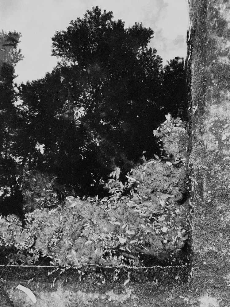 metallisz's tweet photo. Metallisz' snapshot no.116 #blackandwhitephotography #blackandwhite #bnwphotography #monochrome #photo #foto #photography #bnw_captures #blackandwhitephoto #bnw #schwarzweissfoto #swfoto #sw #photooftheday #bwwednesday #monoart #brunnenbecken #fountainpool https://t.co/mOy0KUSvbP