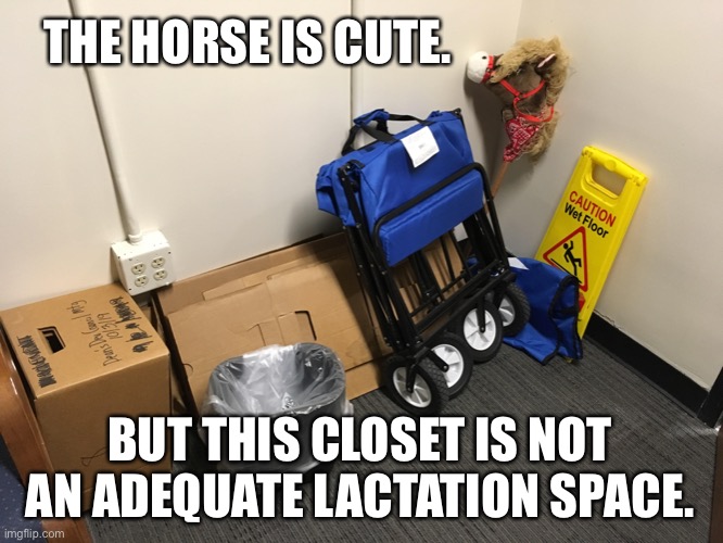 ResearchLion's tweet photo. As we start talking about returning to campus, let me just remind @universityofky , pre-pandemic needs have not magically dissolved. Students faculty and staff still need adequate lactation spaces, sanitation being more important than ever. https://t.co/HxkmlWgLKK