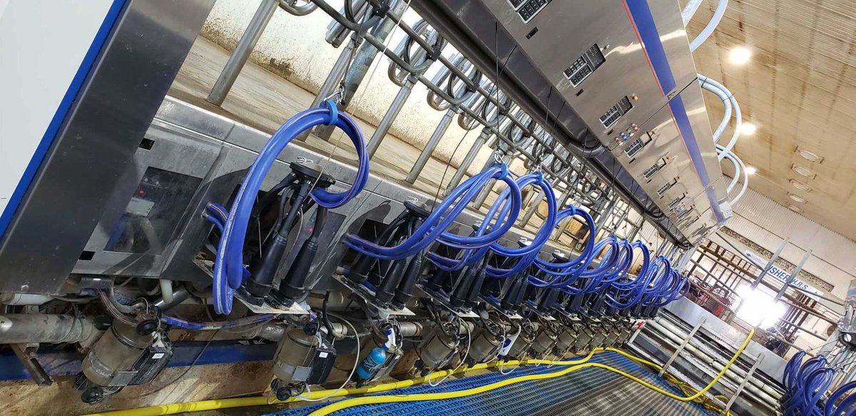 dono4654's tweet photo. New life to an old parlor with #Evanza claws. #AgraiDairymart #Delaval https://t.co/z3nG8AGdR2