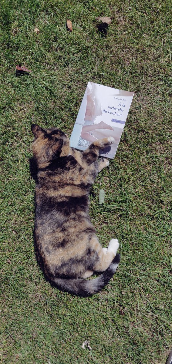 erwidrz's tweet photo. Même les animaux s'y mettent 😹 https://t.co/Q7aJNC4Ph7