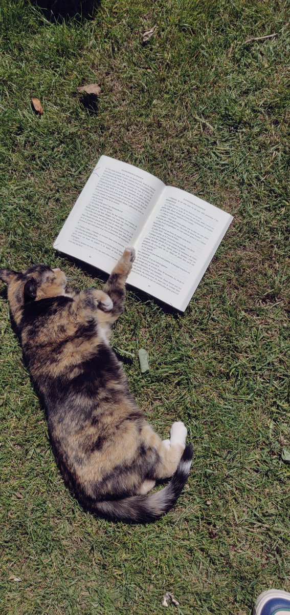erwidrz's tweet photo. Même les animaux s'y mettent 😹 https://t.co/Q7aJNC4Ph7