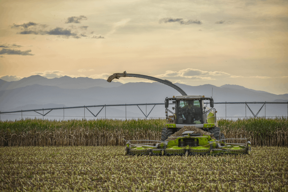 CLAAS_America's tweet photo. "Before the reward there must be labor. You plant before you harvest. You sow in tears before you reap joy." β Ralph Ransom
Happy #FanPhotoFriday to our fans who put in the work, even when it's tough. You inspire us!
π·: @cfagrifilm
#LikeACLAAS #BeBrighter https://t.co/U4xxLC3DGp
