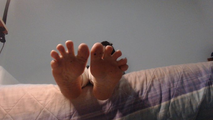 Pulisci e zitto  #fetish #findom #feet https://t.co/0FE5uxWrLo<a href="/tag/fetish"class="tags">#fetish</a><a href="/tag/findom"class="tags">#findom</a><a href="/tag/feet"class="tags">#feet</a>