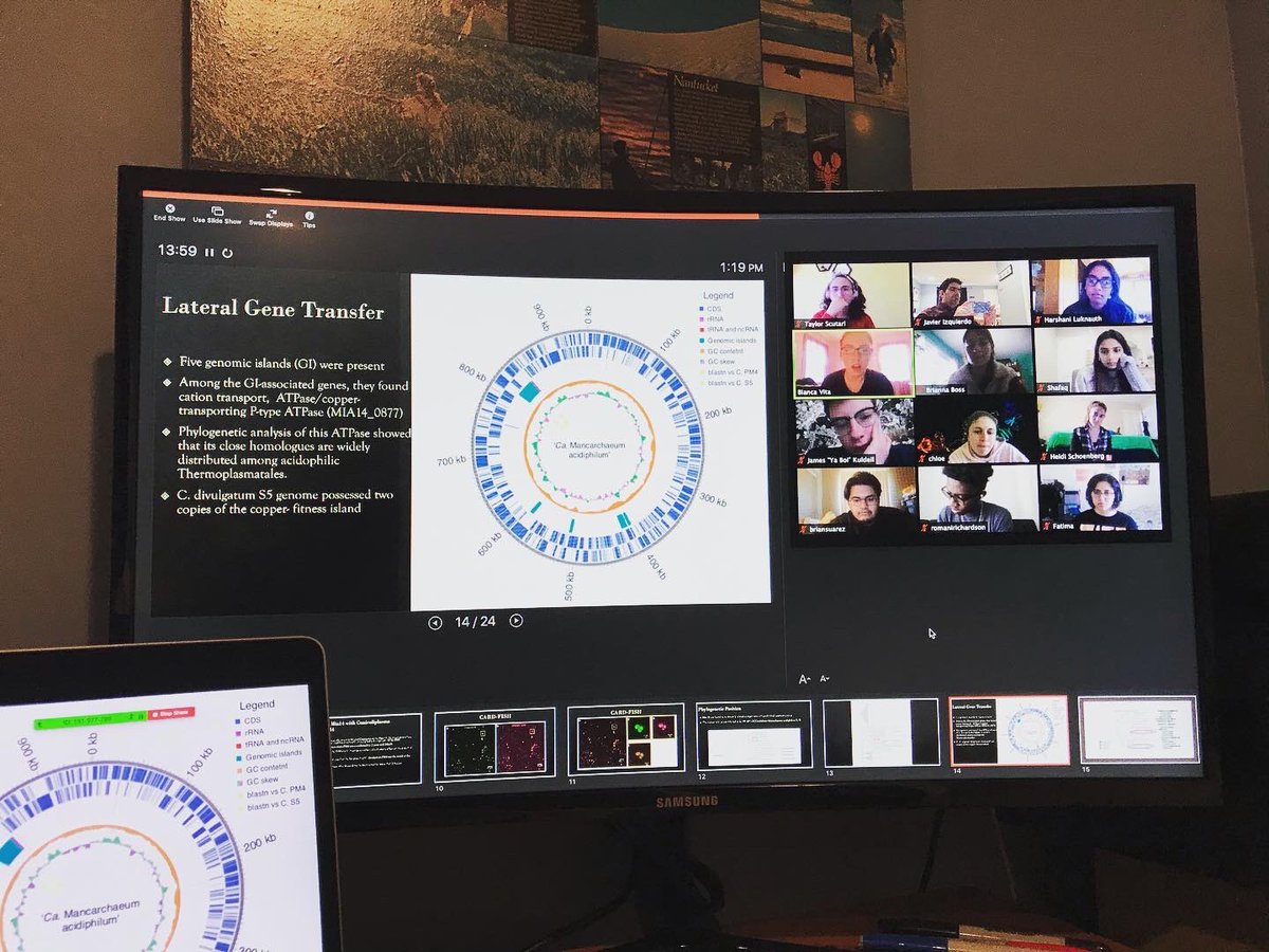 IzquierdoLab's tweet photo. 40 rhizosphere isolates, 90 DNA extractions, 20 journal club papers, 1 @rstudio party, 120 greenhouse experiments. So proud of my #BIO132 students (Environmental Microbiology) who worked so hard this semester! A big thank you to our TA @briannabosss #hofstrabiology #hofstrastrong https://t.co/1ako2NC2bq