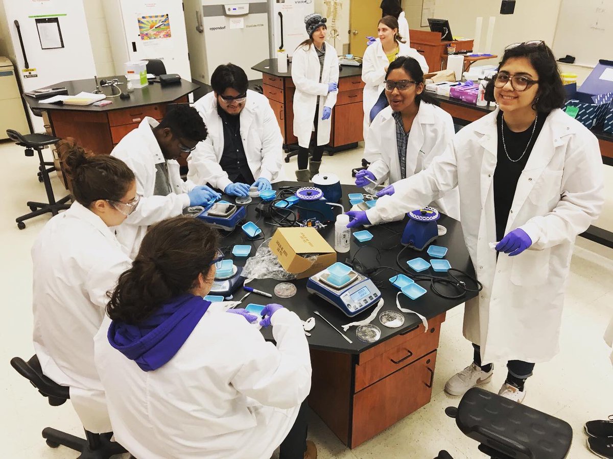 IzquierdoLab's tweet photo. 40 rhizosphere isolates, 90 DNA extractions, 20 journal club papers, 1 @rstudio party, 120 greenhouse experiments. So proud of my #BIO132 students (Environmental Microbiology) who worked so hard this semester! A big thank you to our TA @briannabosss #hofstrabiology #hofstrastrong https://t.co/1ako2NC2bq
