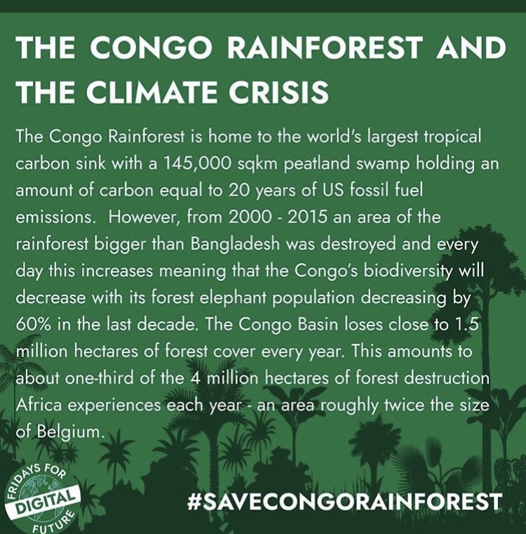 mum_pumpkin's tweet photo. Week 65 #YouthStrike4Climate Week 10 #ClimateStrikeOnline #digitalstrikescotland π΄σ §σ ’σ ³σ £σ ΄σ Ώ Destruction of forests=destruction of life #SaveOurForests π³#SaveCongoRainforest #NoForestNoFuture #biodiversityπ#AnotherWorldispossible @Fridays4future @parents_4future @savecalaiswild1 https://t.co/5NSRiXHVj6