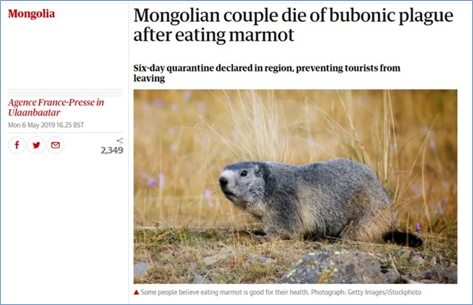 CarenzaLewis's tweet image. Your 7yo might like #DigSchool - free, online, worldwide digschool.org.uk - 20 workshops themed around archaeology, will touch on Black Death next month.  Meanwhile, keep off marmot kidney tartare!