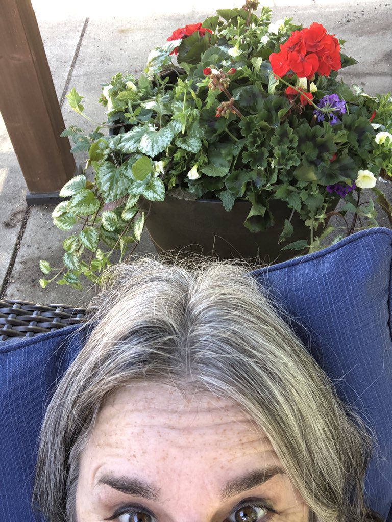 Something in there smells glorious.  #spring